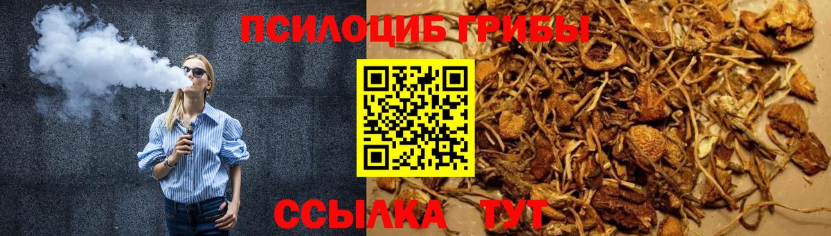 Псилоцибиновые грибы мицелий Курчатов