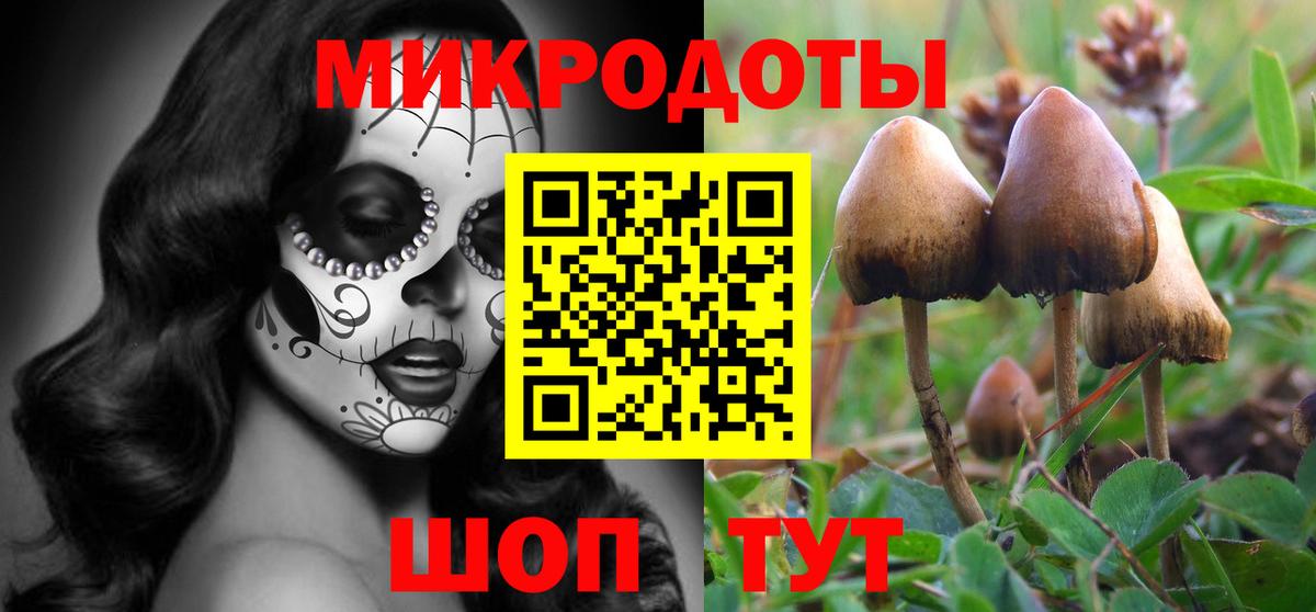 где можно купить   Галлюциногенные грибы Psilocybe  Вход с VPN  Курчатов 