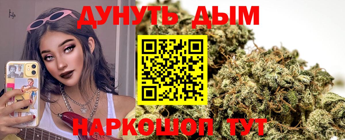 Бошки Шишки сатива Курчатов